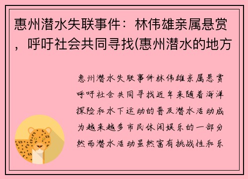 惠州潜水失联事件：林伟雄亲属悬赏，呼吁社会共同寻找(惠州潜水的地方在哪里)